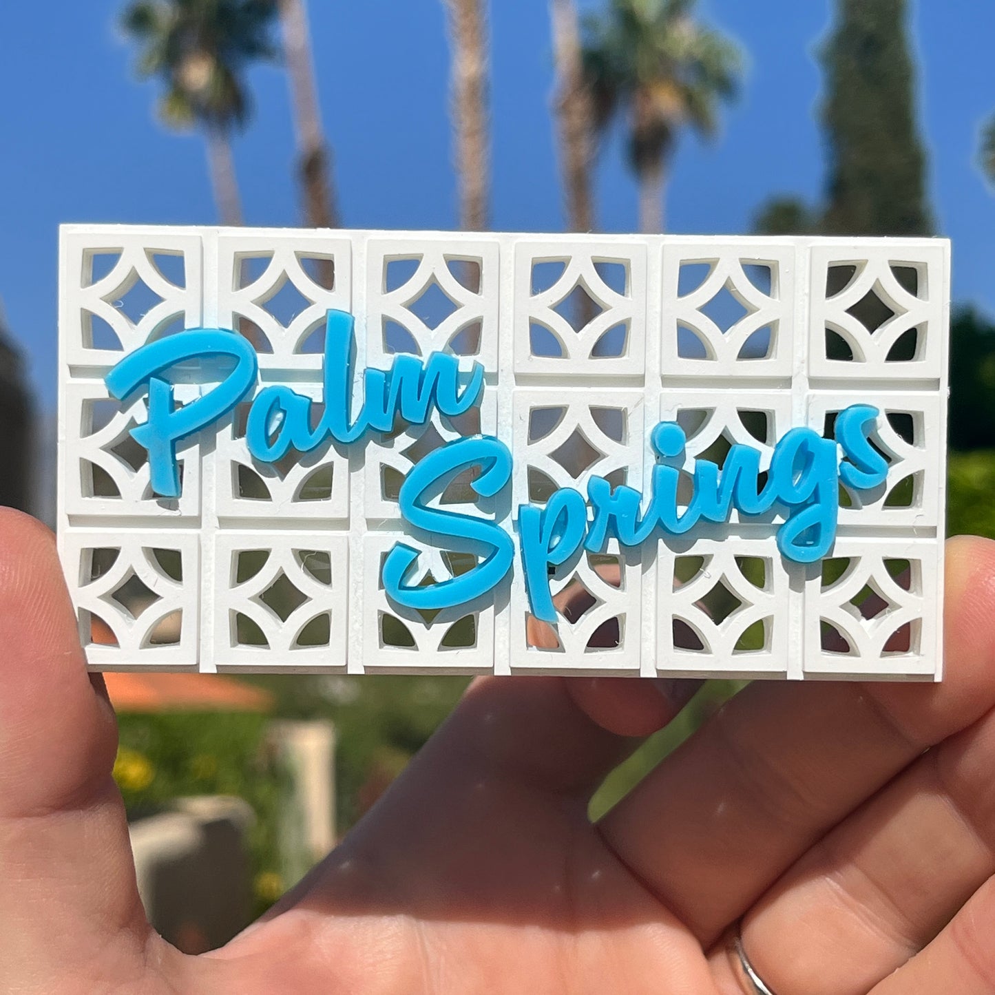 Palm Springs 3D Magnet