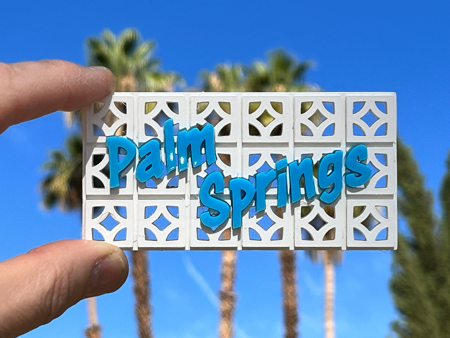 Palm Springs 3D Magnet